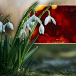 Wzbiera wiosenna fala. Pogoda zdecydowanie zachęci do spaceru