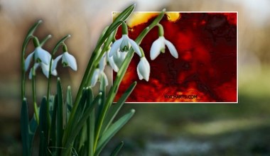 Wzbiera wiosenna fala. Pogoda zdecydowanie zachęci do spaceru