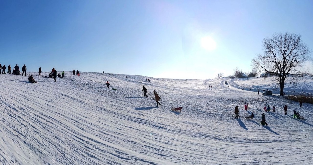 Wzgórza trzebnickie. Dlaczego to miejsce jest idealne na sanki? /Bartłomiej Kudowicz /Agencja FORUM