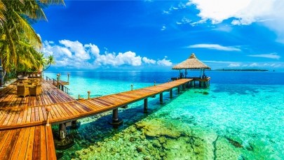 Wziął "chorobowe", poleciał na Malediwy. Ukraiński polityk w tarapatach