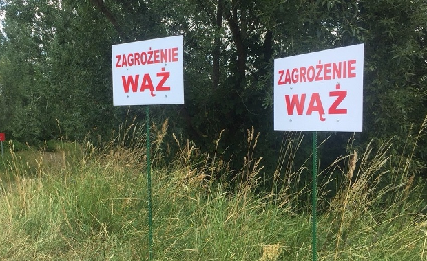 Wznowiono poszukiwania pytona. Pojawił się kłopot w postaci pogody