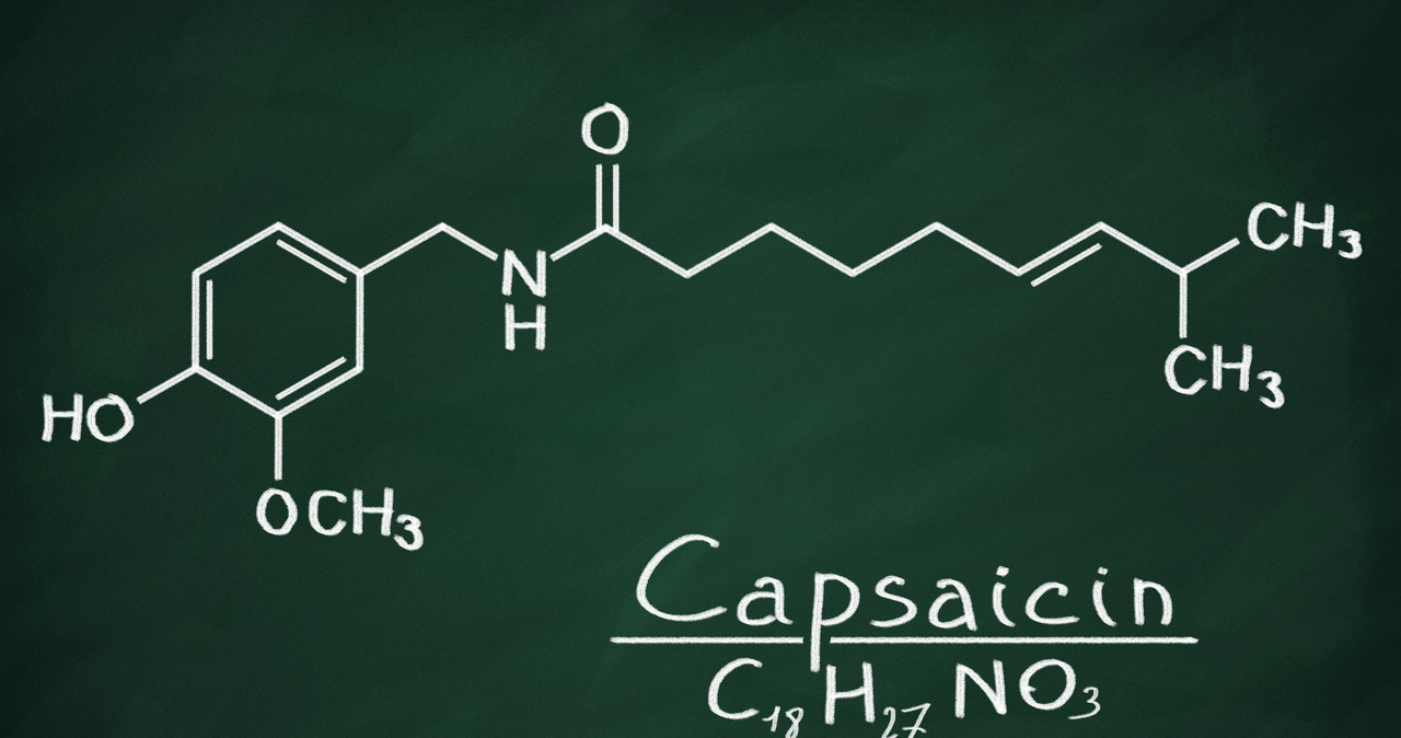 Wzór chemiczny kapsaicyny /123RF/PICSEL