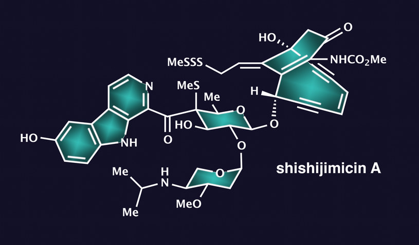 Wzór chemiczny shishijimicin A /materiały prasowe