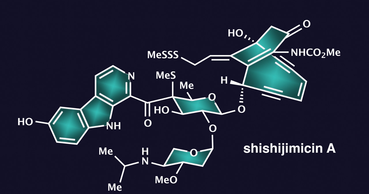 Wzór chemiczny shishijimicin A /materiały prasowe