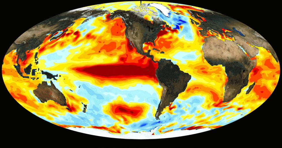 Wzorce temperatury powierzchni oceanu podczas El Nino. /materiały prasowe