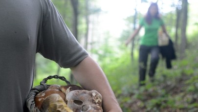 Wzrasta liczba zaginięć… na grzybobraniach