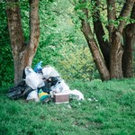 Wzrosną mandaty za wyrzucanie śmieci w lesie. Czy proceder wreszcie zniknie? 