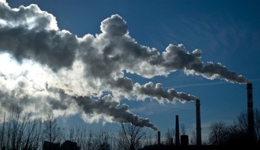Wzrost emisji CO2 wyhamował