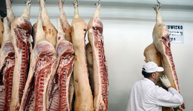 Wzrostów kosztów hodowli podbija ceny wieprzowiny
