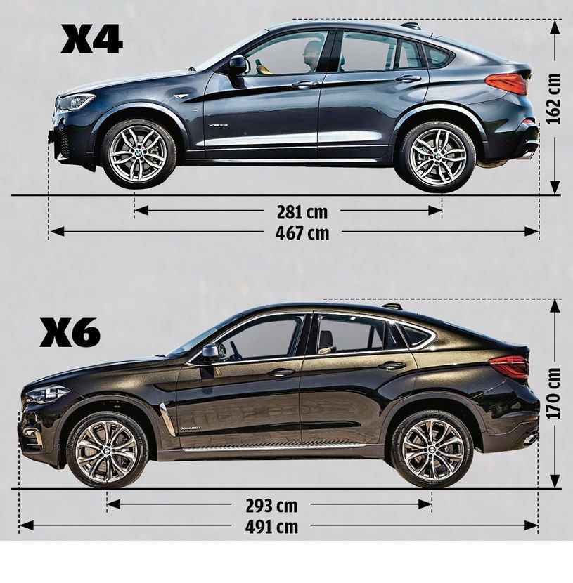 X4 i X6 – różnią się wymiarami, ale nie wyglądem /Motor