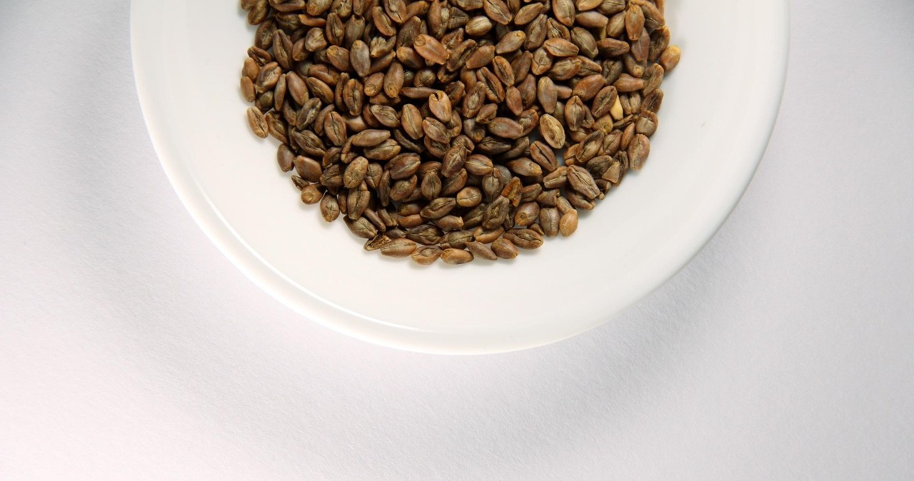 Ячмінну крупу можна їсти 4-5 разів на тиждень /pixabay.com