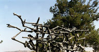 Yad Vashem, pomnik ofiar obozów koncentracyjnych i zagłady /Encyklopedia Internautica