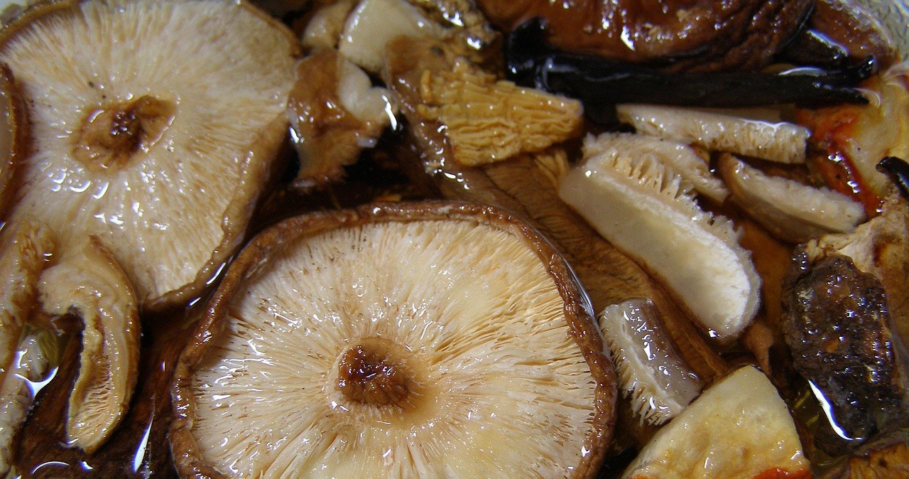 Як правильно замочувати гриби, щоб вони були м’які та ароматні? /pixabay.com