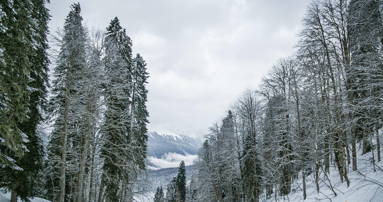 Який зимовий польський курорт визнаний найдешевшим? /pixabay.com