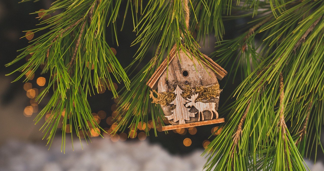 Ялинка чи сосна? Експерт радить, яке дерево прослужить довше /pixabay.com