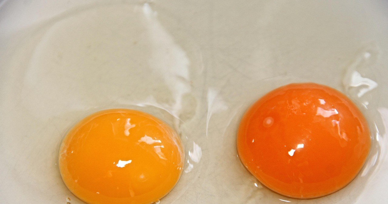 Яйця - це джерело білка, біотину та фолієвої кислоти, які відомі своїми властивостями живити волосся /pixabay.com