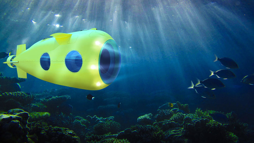 Yellow Submarine - możesz kupić własną łódź podwodną. Jedyną przeszkodą może okazać się cena... /materiały prasowe