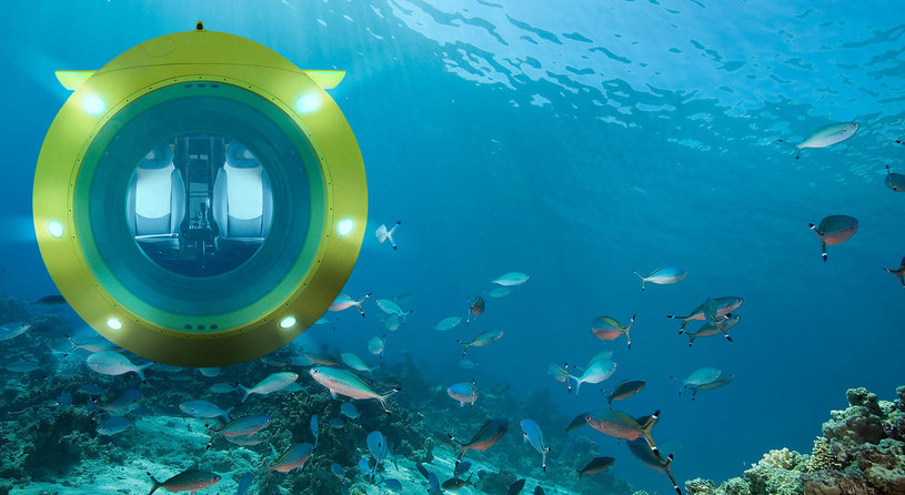 Yellow Submarine nie jest zabawką. Można zejść nią na głębokość aż 160 metrów /materiały prasowe