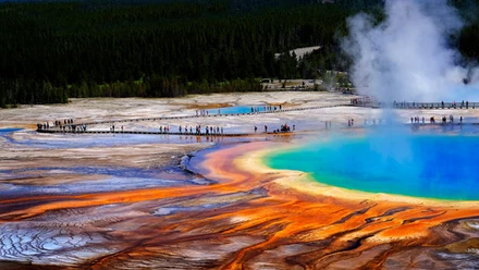 Yellowstone 