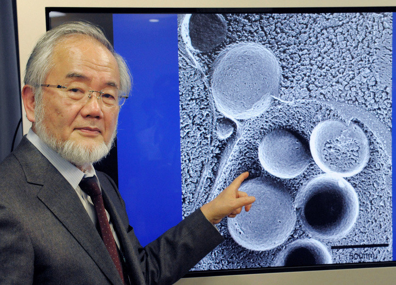 Yoshinori Ohsumi /Agencja FORUM