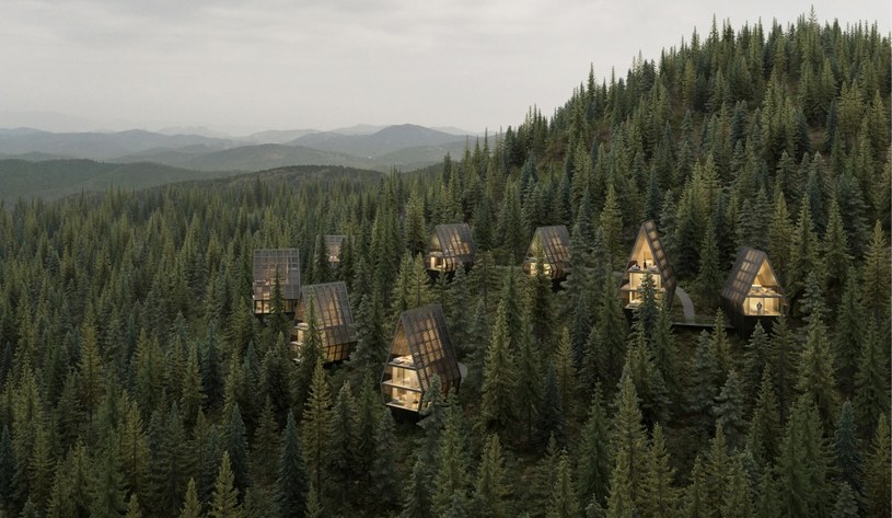 YOUNA Nature Resort podobnie jak Tree Houses zatopiony jest w leśnym krajobrazie /Peter Pichler Architecture /materiały prasowe