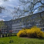 Youtuberzy wtargnęli na krakowski uniwersytet. Uczelnia reaguje