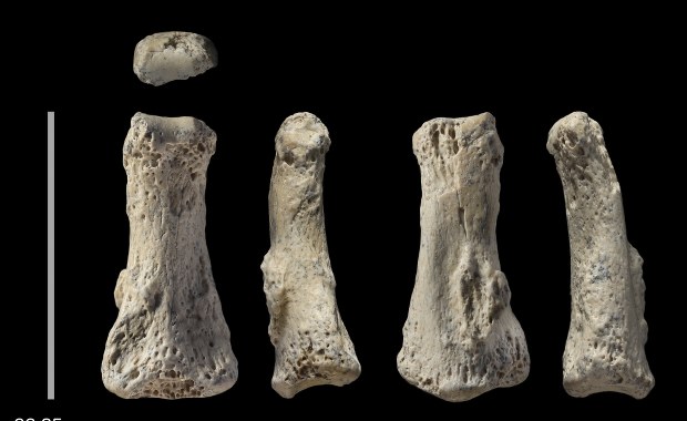 Z Afryki wyszliśmy wcześniej. I nie chcieliśmy się zatrzymać...