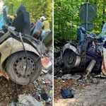 Z auta zostały strzępy, 27-latek nie żyje. Policja szuka świadków wypadku