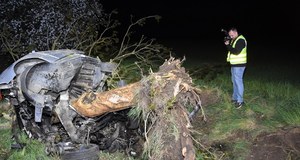 Z bmw zostały strzępy, drzewo wyrwane z korzeniami. Straszny wypadek na Pomorzu
