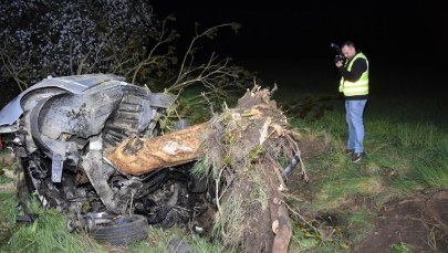 Z bmw zostały strzępy, drzewo wyrwane z korzeniami. Straszny wypadek na Pomorzu