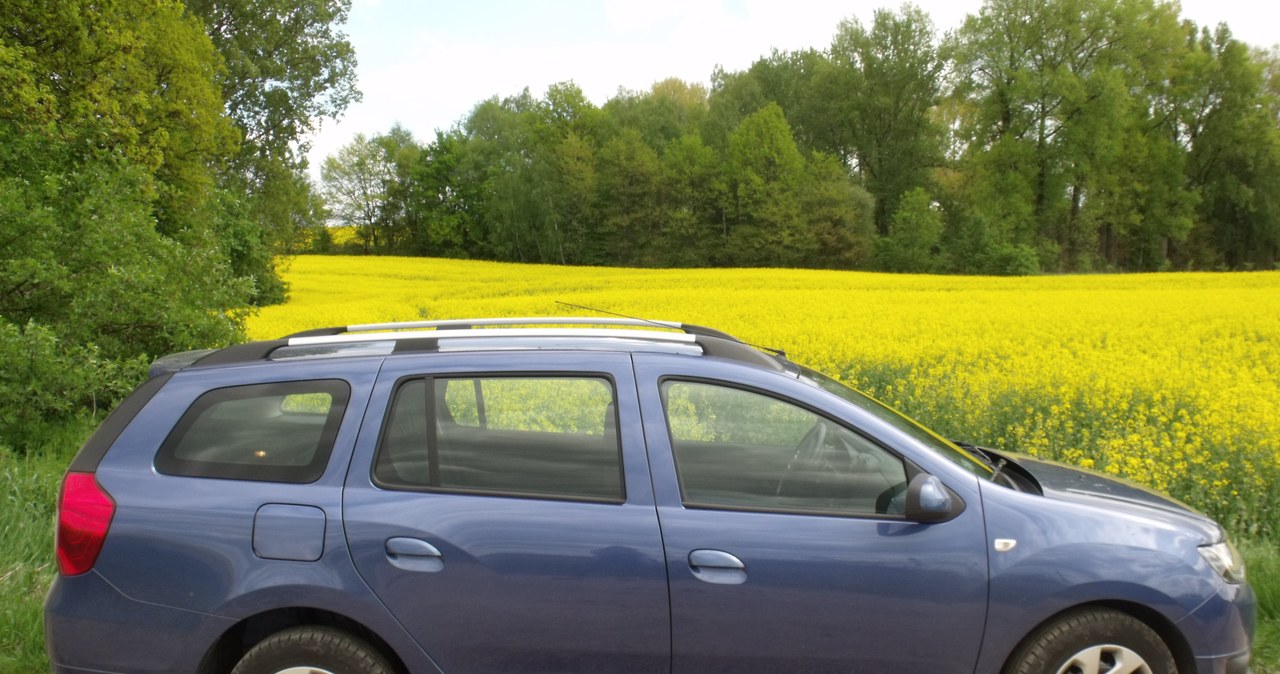 Z boku auto nie każdemu się spodoba /INTERIA.PL