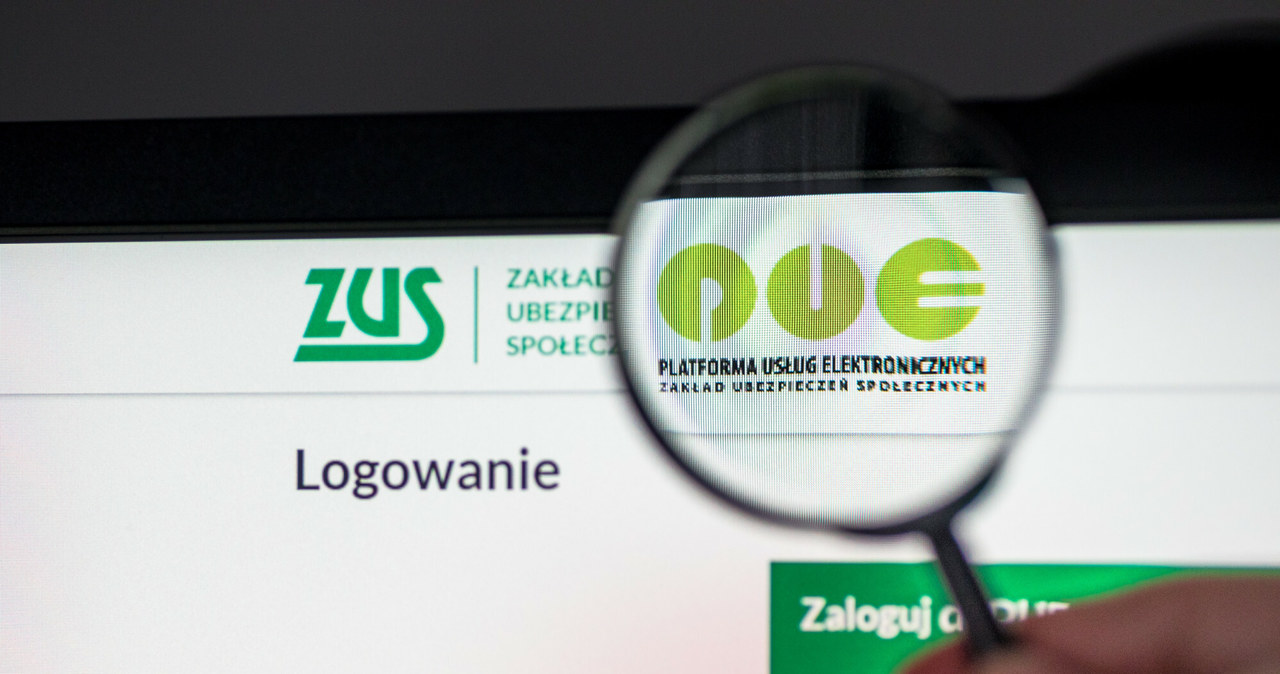 Z elektronicznego profilu PUE ZUS korzysta już blisko 5,9 mln użytkowników. /Arkadiusz Ziółek /East News