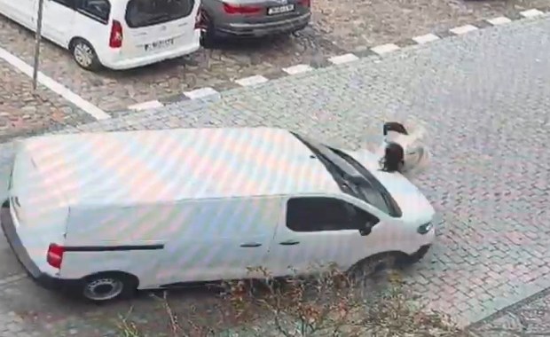 Z impetem wjechał w ciężarną na pasach [FILM]