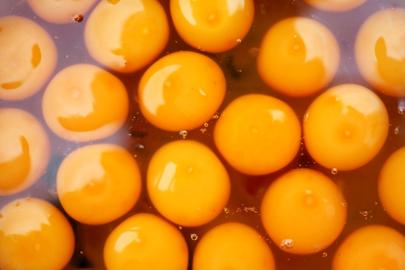 Z jajka przygotujesz mnóstwo bardzo skutecznych kosmetyków /123RF/PICSEL