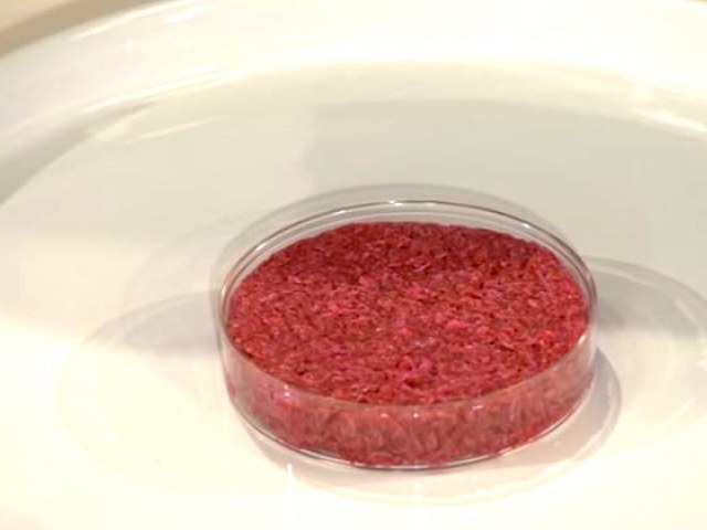 Z jednej komórki macierzystej można stworzyć aż 10 tysięcy kilogramów mięsa. /YouTube