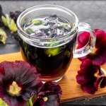 Z jej czarnych płatków zrobisz herbatę. Przy problemach z żołądkiem i przeziębieniach jest niezastąpiona