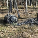 Z Kalifornii do lasu w Krzyżkówku. Nowe informacje ws. rakiety SpaceX