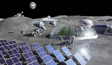 Z księżycowej ziemi wyrosła roślina. Naukowcy zrobili ważny krok