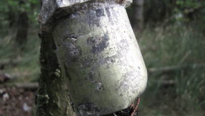 Z lasu koło Stargardu Szczecińskiego ktoś ukradł samolot z czasów II wojny 