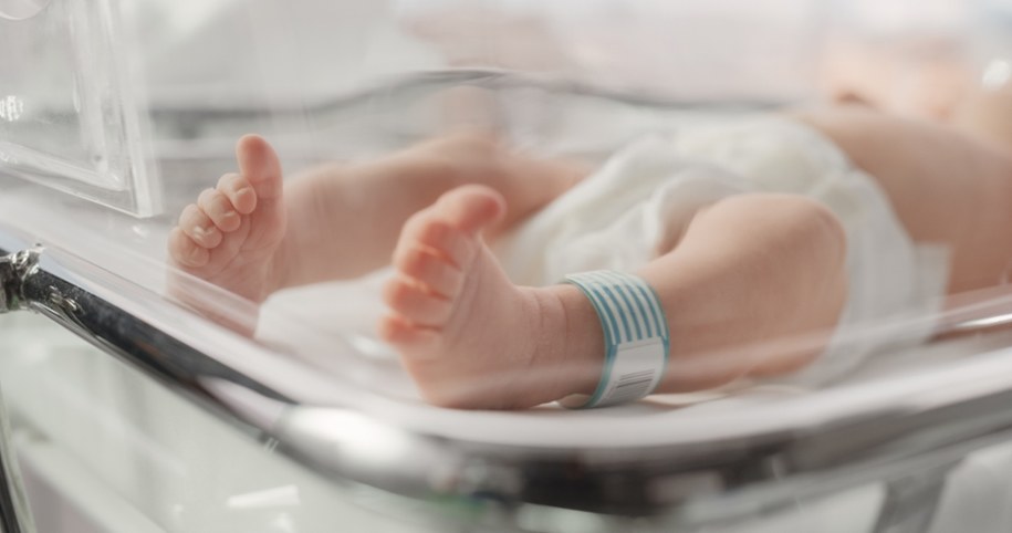Z nową metodą in vitro wiązane są duże nadzieje /Shutterstock