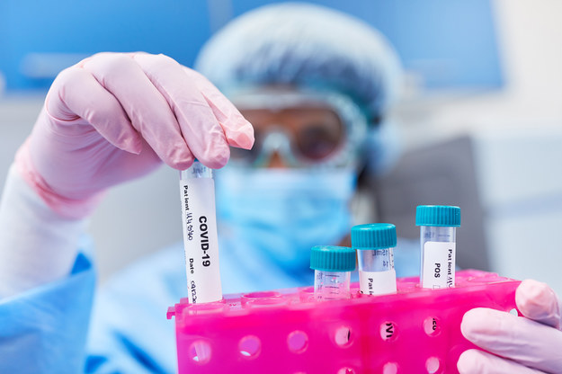 Z obowiązku okazywania testu zwolnione będą osoby zaszczepione, które przedstawią ważny certyfikat. /Shutterstock