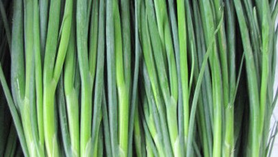 Z otyłością możemy walczyć tylko dietą, nie lekami