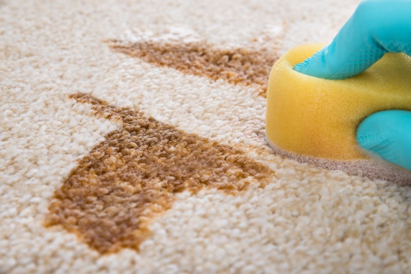 Z plamami na dywanie można się uporać za pomocą domowych sposobów. Warto sięgnąć po pastę z sody oczyszczonej, ocet, a także mąkę ziemniaczaną /123RF/PICSEL