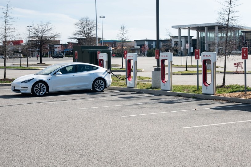 Z planów "ożywienia rynku" aut elektrycznych na pewno ucieszyła się Tesla /Getty Images