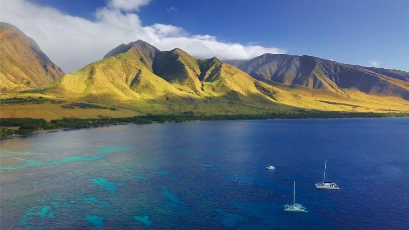 Z plaż na wyspie Maui można wybrać się na nurkowanie i zobaczyć rafę /123rf.com /INTERIA.PL