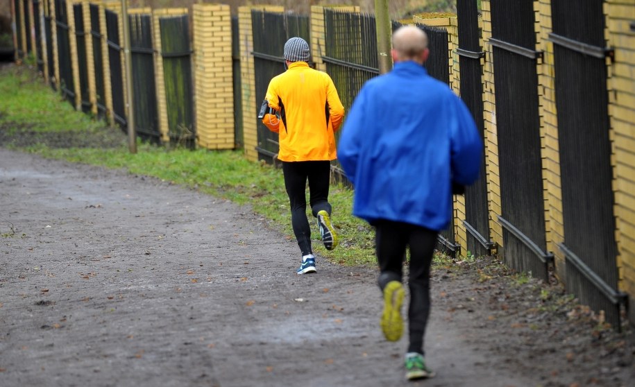 Zgłosiła się właścicielka psów, które pogryzły biegacza w Łodzi