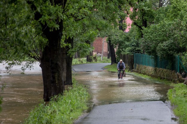 Z powodu obfitych opadów wiele rzek w regionie wylało /Maciej Kulczyńsk /PAP