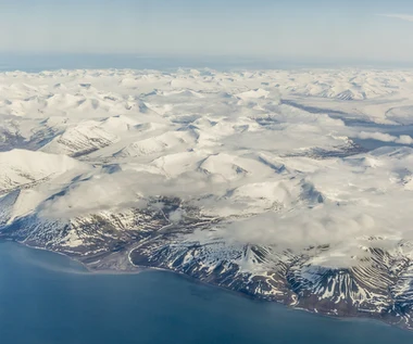 Z powodu ocieplenia klimatu drapieżniki wycofują się na północ