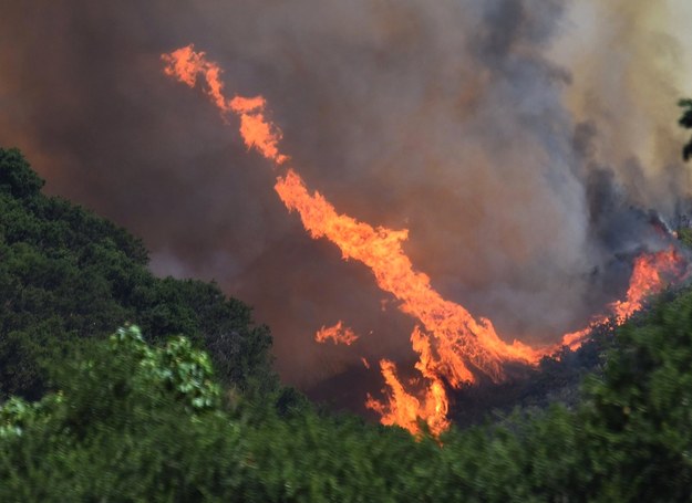 Z powodu pożarów ewakuowano 3 tys. rodzin /MIKE ELIASON/SBC FIRE HANDOUT /PAP/EPA