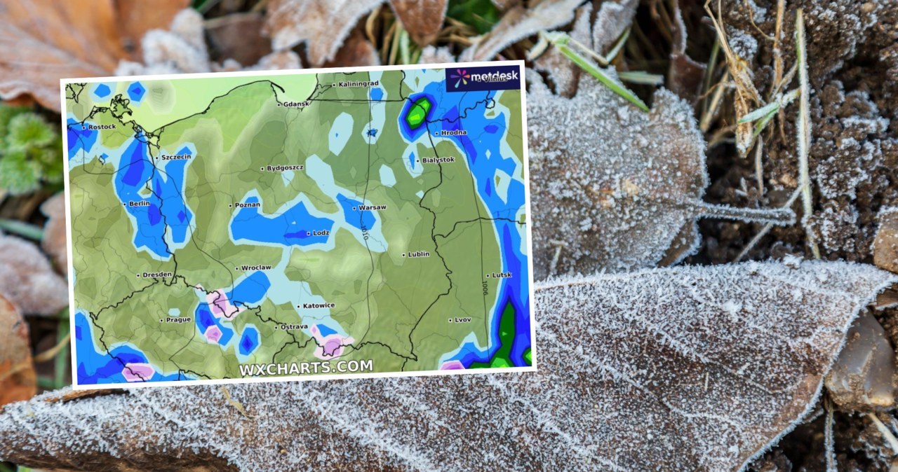 Z powodu przymrozków wydano alerty IMGW pierwszego stopnia. Miejscami temperatura przy gruncie może wynieść -5 stopni Celsjusza /lemanieh/123rf/WXCHARTS /